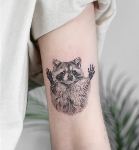 Raccoon Tattoo